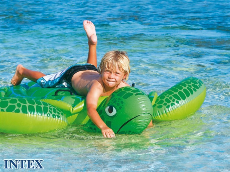 intex 56524, tartaruga gonfiabile intex, 
