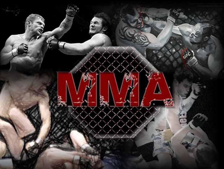 mma abbigliamento da combattimento