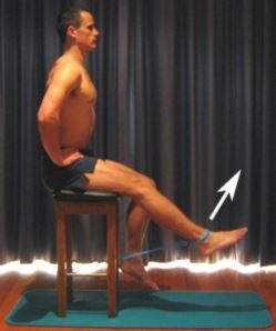 RIABILITAZIONE ELASTICO