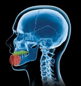 paradenti koolook paradenti